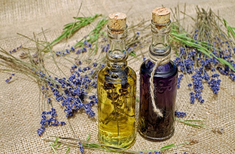 Homemade Pest Spray