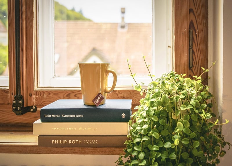 Window Boxes